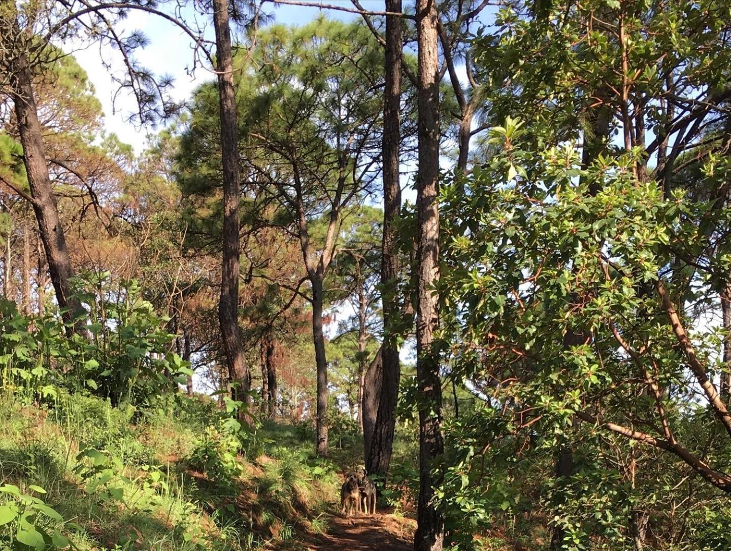 Mi Casa De Valle Valle de Bravo Buitenkant foto